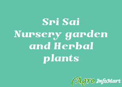 Sri Sai Nursery garden and Herbal plants
