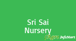 Sri Sai Nursery suryapet india