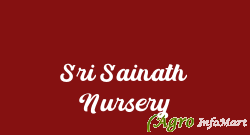 Sri Sainath Nursery rajahmundry india