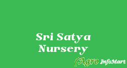 Sri Satya Nursery