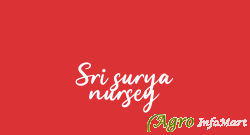 Sri surya nursey