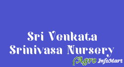 Sri Venkata Srinivasa Nursery