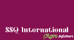 SSQ International