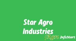 Star Agro Industries ludhiana india