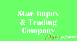 Star Impex & Trading Company