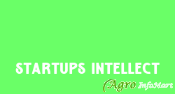 Startups Intellect indore india