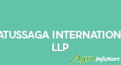 Statussaga International LLP