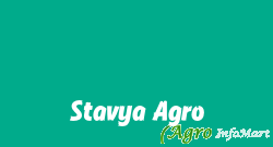 Stavya Agro delhi india