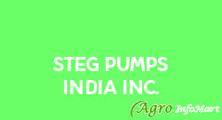Steg Pumps India Inc.