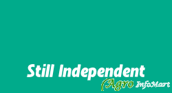 Still Independent