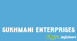 Sukhmani Enterprises delhi india