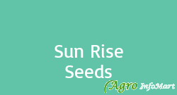 Sun Rise Seeds