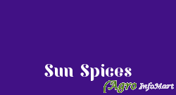 Sun Spices chennai india