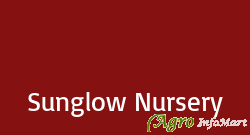 Sunglow Nursery