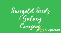 Sungold Seeds / Galaxy Overseas