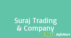 Suraj Trading & Company jaipur india