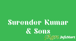 Surender Kumar & Sons