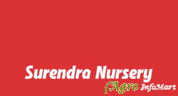 Surendra Nursery vadodara india
