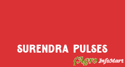 Surendra Pulses indore india