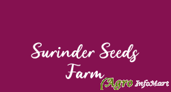 Surinder Seeds Farm panipat india