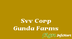Svv Corp Gunda Farms