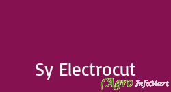 Sy Electrocut