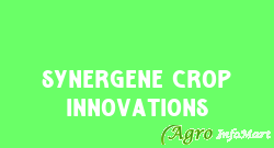 Synergene Crop Innovations ambala india