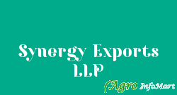 Synergy Exports LLP pune india