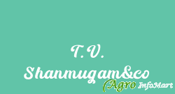 T. V. Shanmugam&co tiruppur india