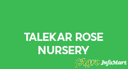 Talekar Rose Nursery pune india