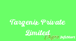 Targenix Private Limited chennai india