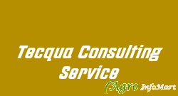 Tecqua Consulting Service bangalore india