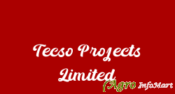 Tecso Projects Limited vadodara india