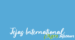 Tejas International