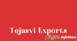 Tejasvi Exports