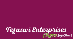 Tejaswi Enterprises mumbai india