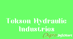 Tekson Hydraulic Industries