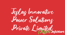Teslas Innovative Power Solutions Private Limited chennai india