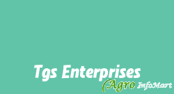 Tgs Enterprises mumbai india