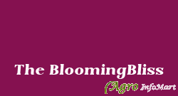 The BloomingBliss faridabad india