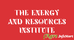 THE ENERGY AND RESOURCES INSTITUTE