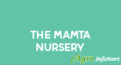The Mamta Nursery