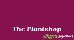 The Plantshop hyderabad india