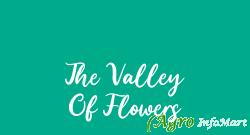 The Valley Of Flowers