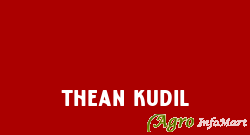Thean Kudil
