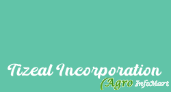 Tizeal Incorporation