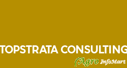 TOPSTRATA CONSULTING
