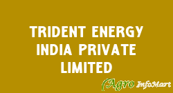 Trident Energy India Private Limited gurugram india