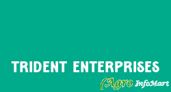 Trident Enterprises