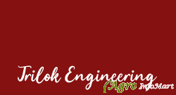 Trilok Engineering